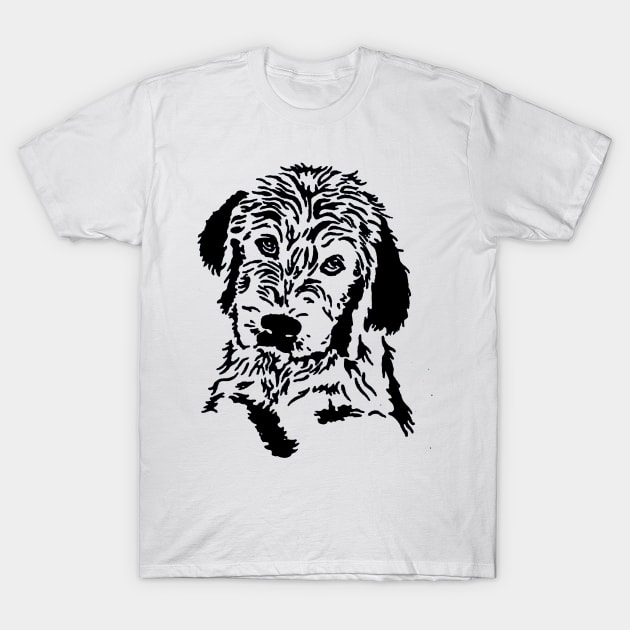 Labradoodle Face T-Shirt by sandiakmar4life